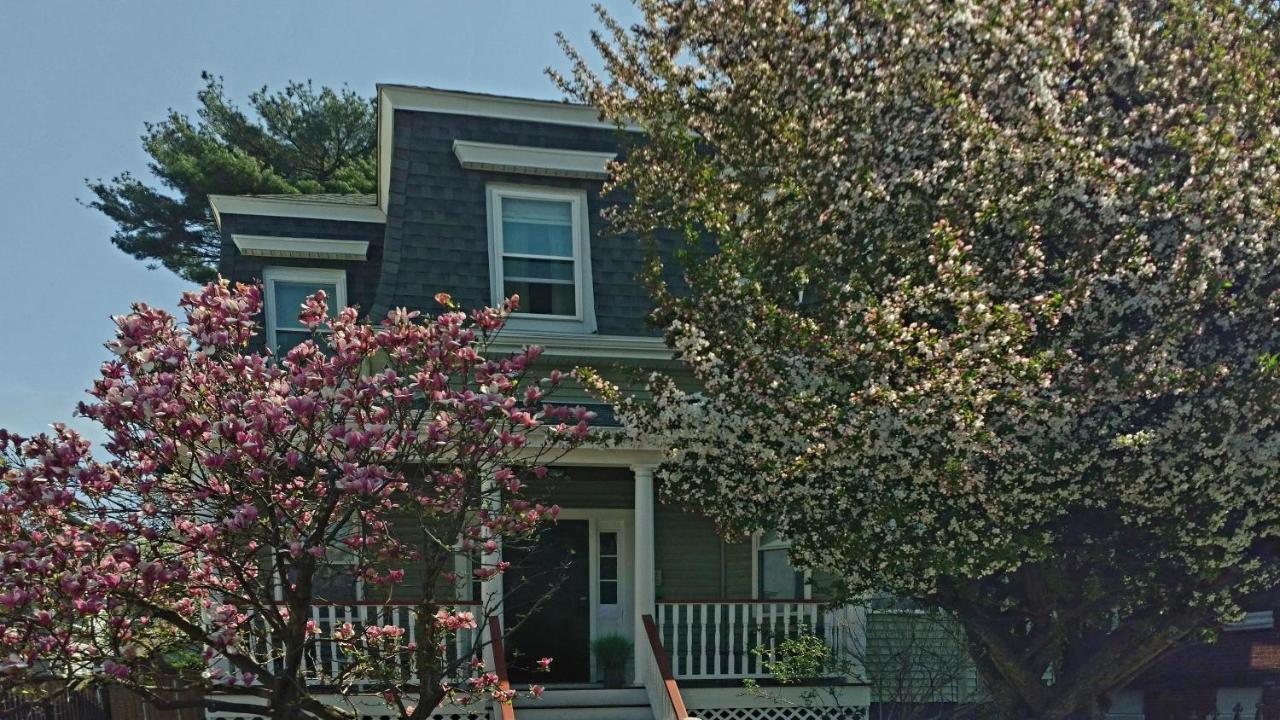2 Bedroom Boston Condo In Jamaica Plain With Parking Exterior foto